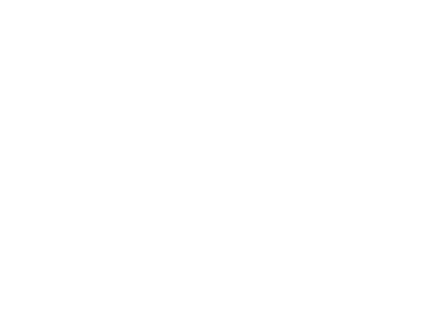 Luxury Auto Dealership