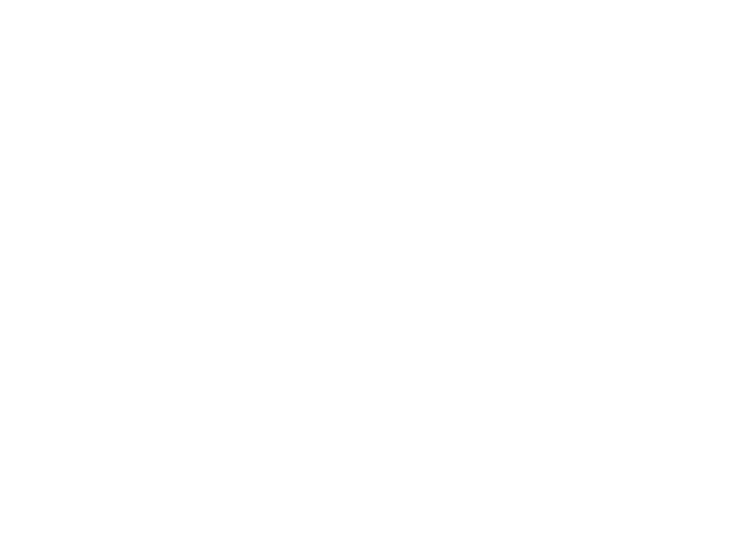 Luxury Auto